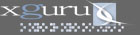 xguru, Inc. websites, email newsletters, hosting