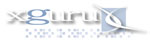 xguru, Inc. website design, email newsletters, ISP hosting